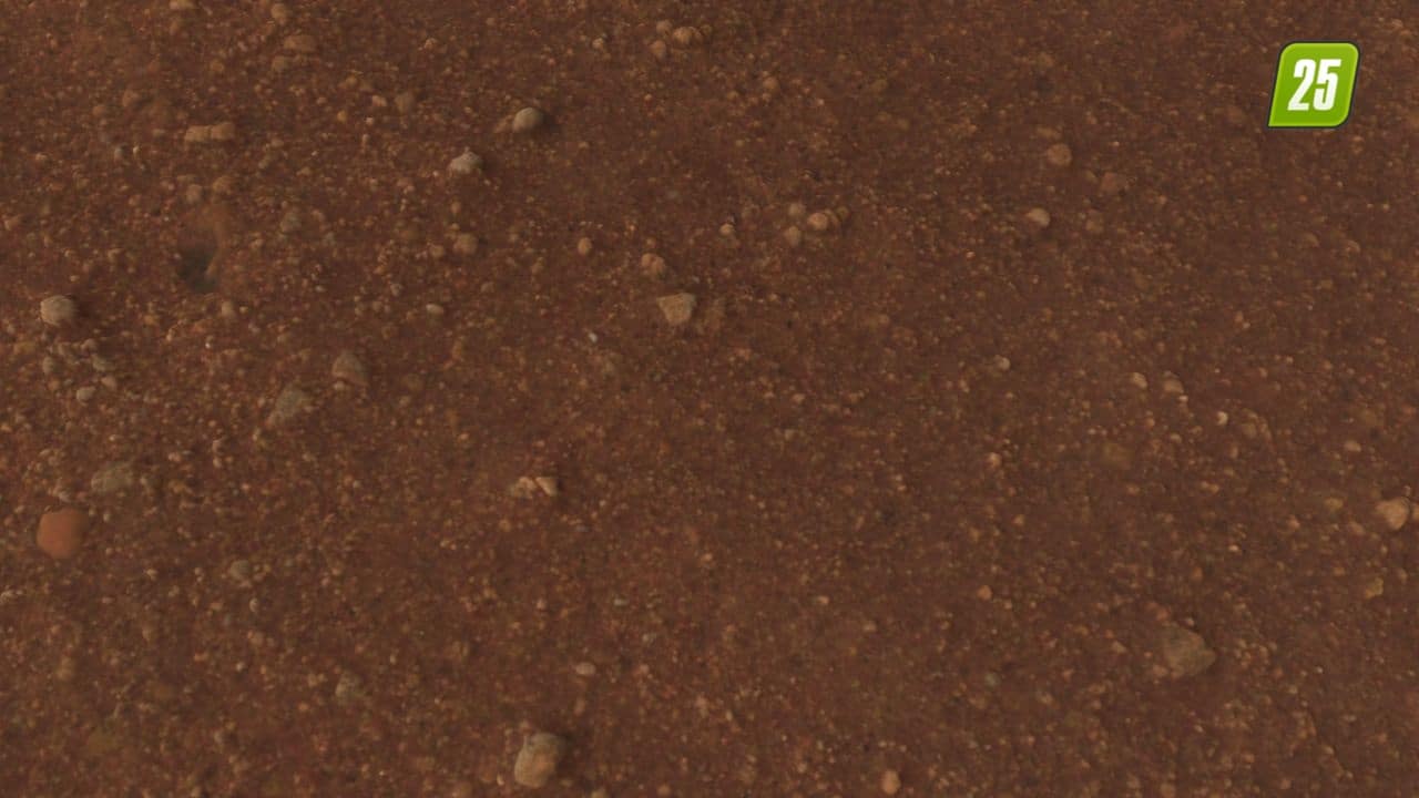 Karte 4x rote Länder1 (1) Karte 4x rote Länder1 (1)