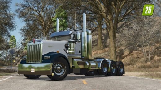 Kenworth W900L0 (0)