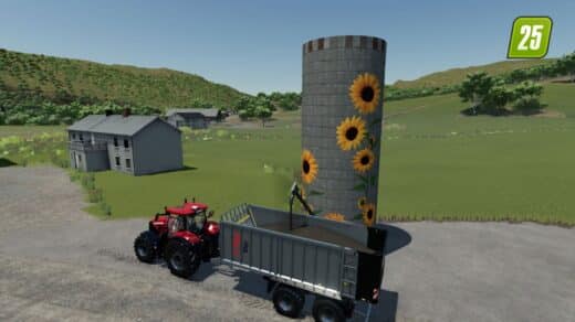 Sonnenblumen Hof- & Markt-Pack