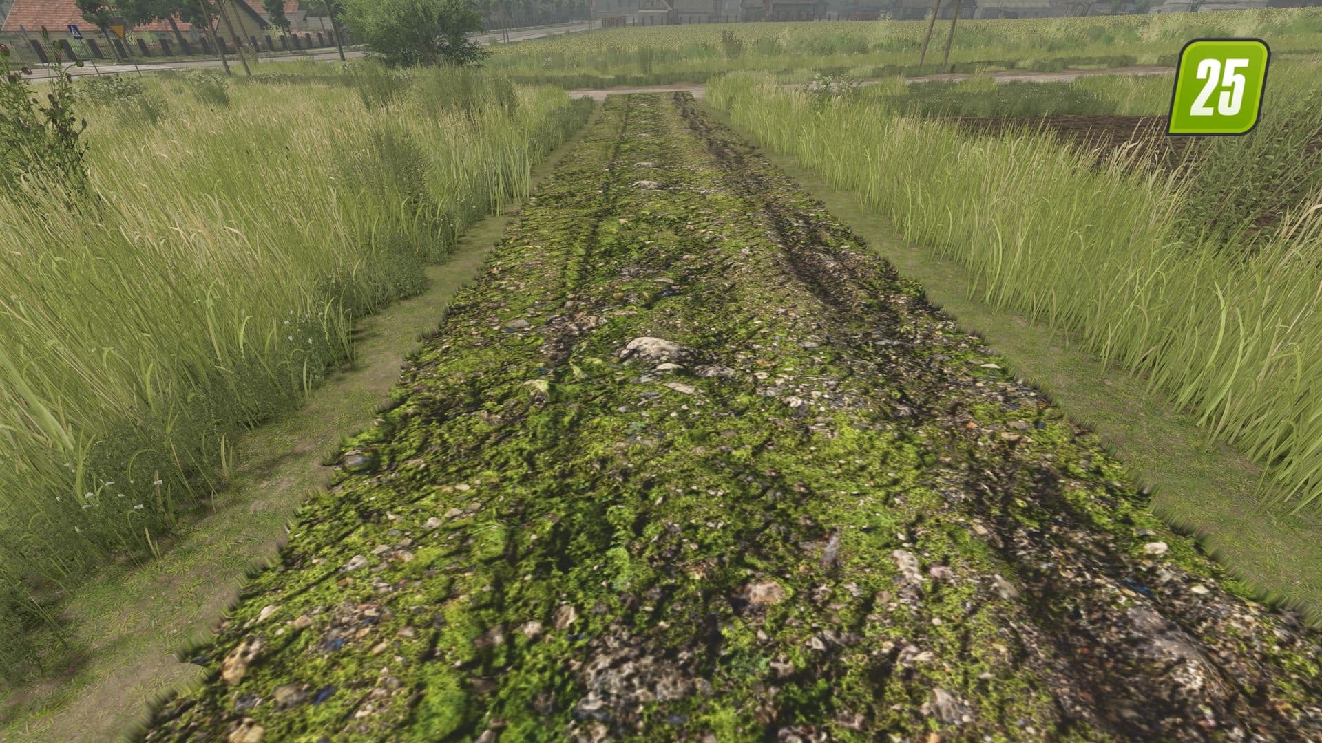FS25 Schlamm- Und Kopfsteinpflasterstraßen V1.0.0.2
