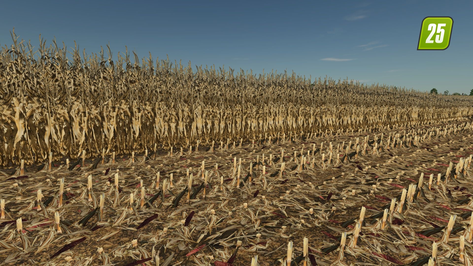 Realistische Textur von trockenem Mais
